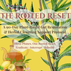 The Rooted Reset: A 90-Day Plant-Based Gut Restoration and Herbal Cleansing Support Protocol