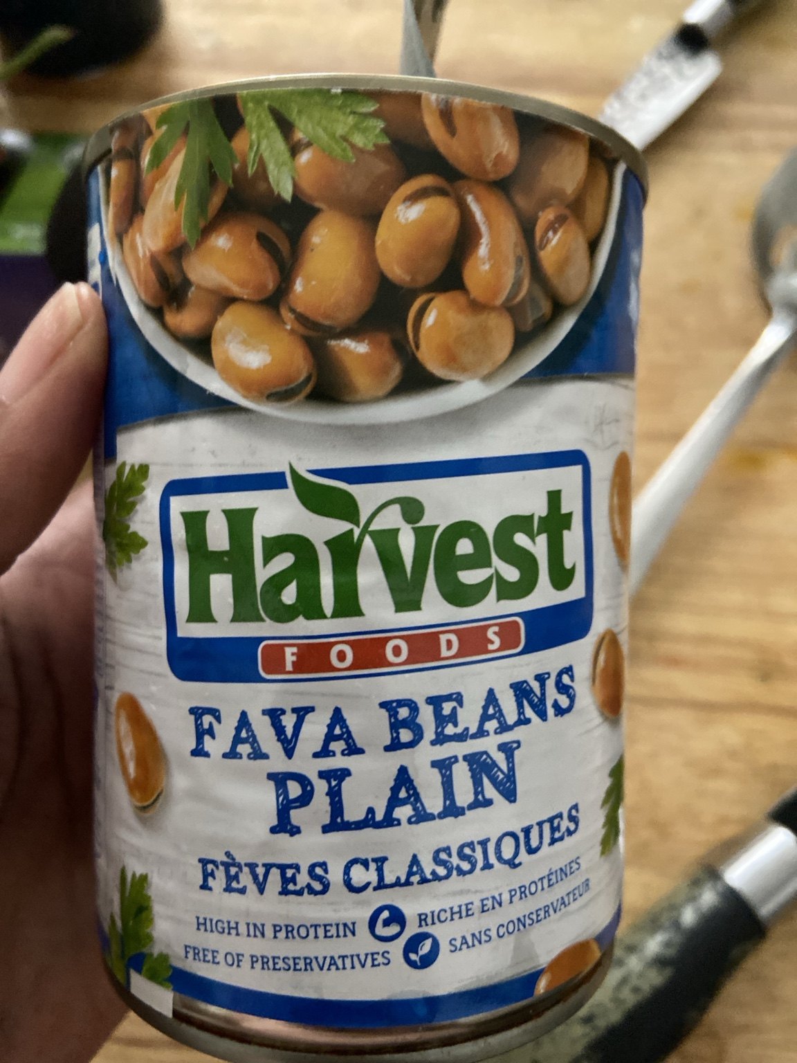 A can of plain fava beans used in the recipe