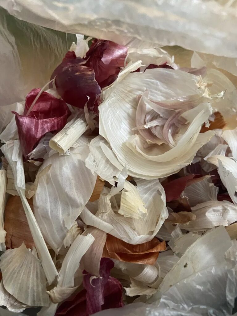 A bag of saved red, yellow and white onion and garlic skins